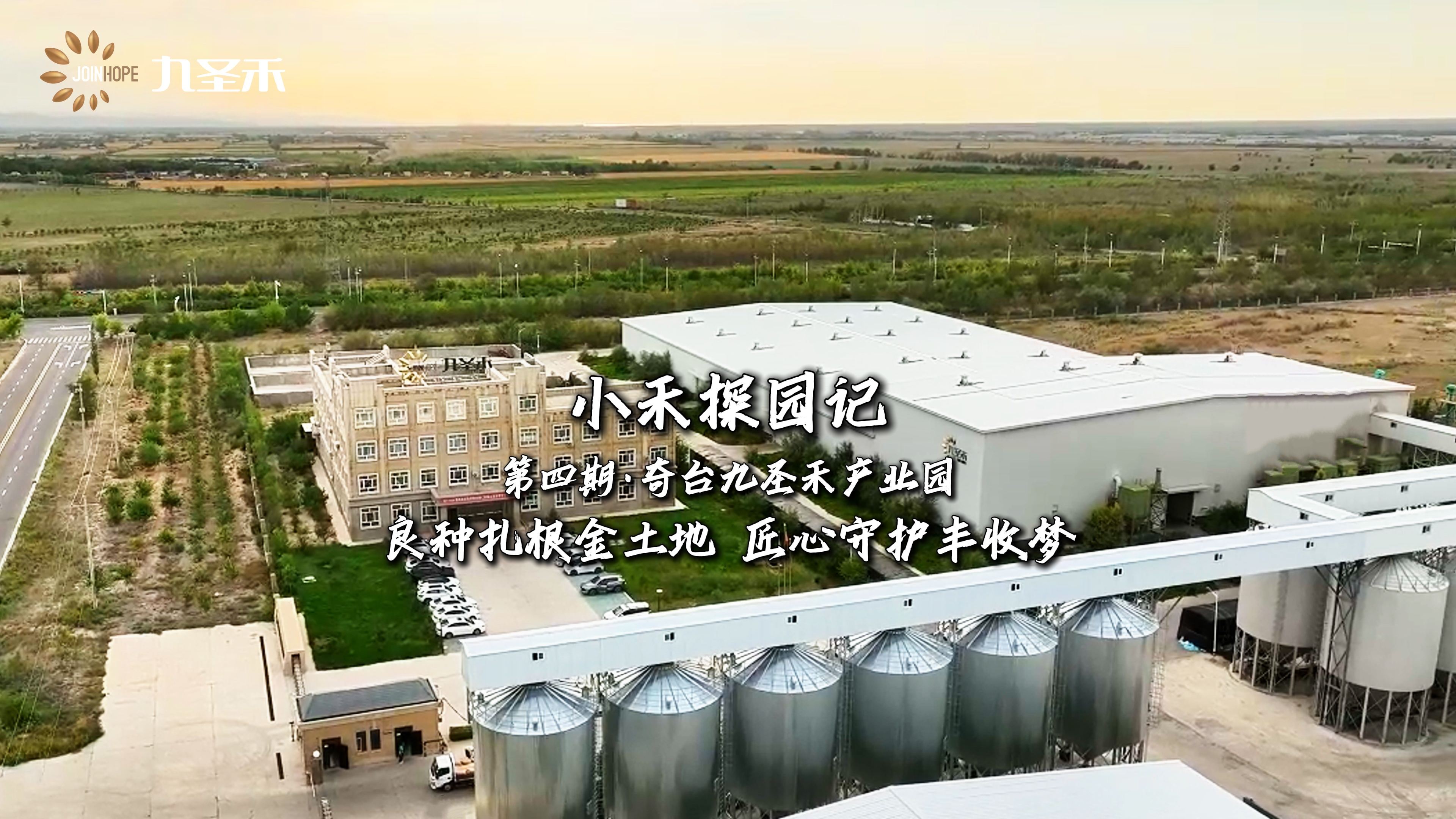 小禾探园记——奇台九圣禾产业园：良种扎根金土地 匠心守护丰收梦