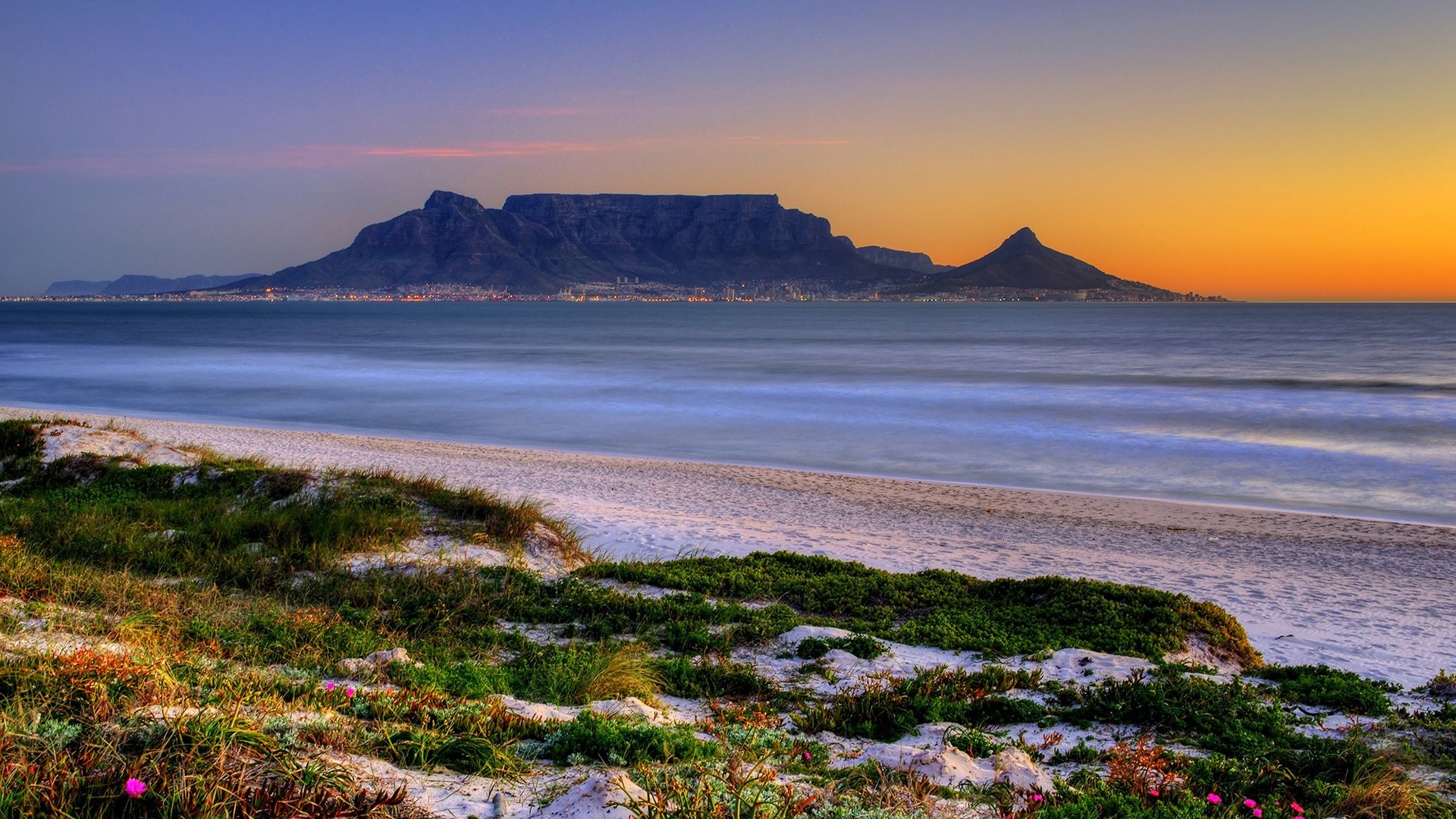 发布到官网的资讯